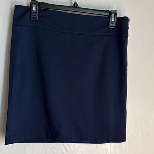 Banana Republic Dark Blue Pencil Skirt